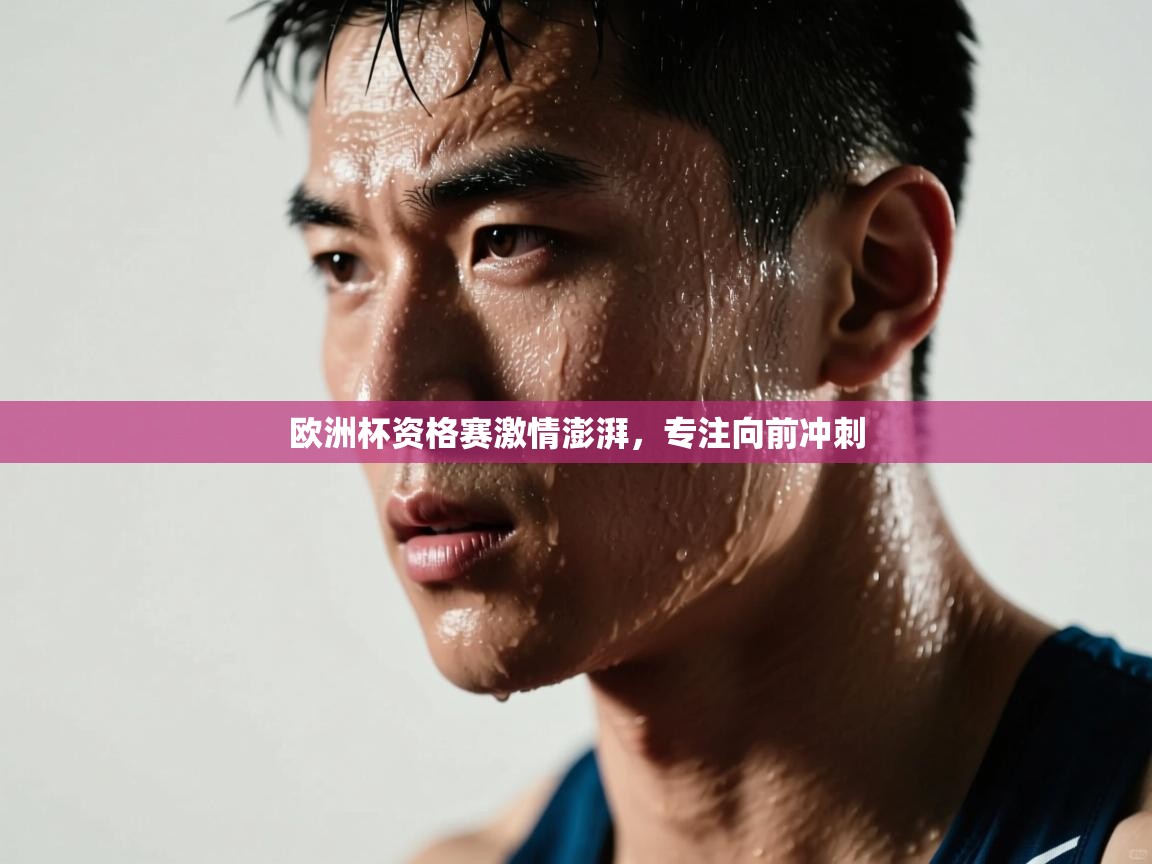 欧洲杯资格赛激情澎湃,专注向前冲刺 第1张